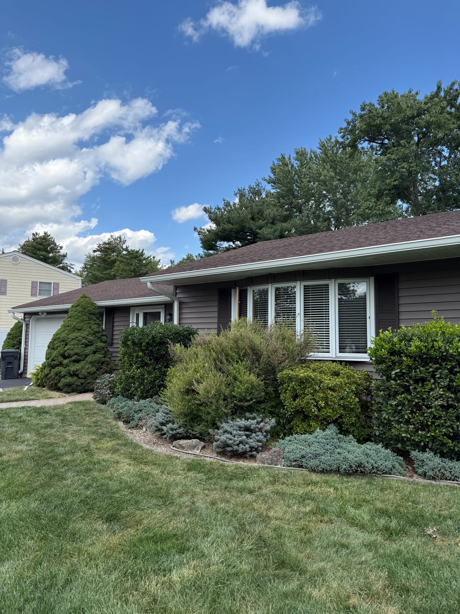 After: front elevation from the lawn, new siding and gutter line above mature foundation planting